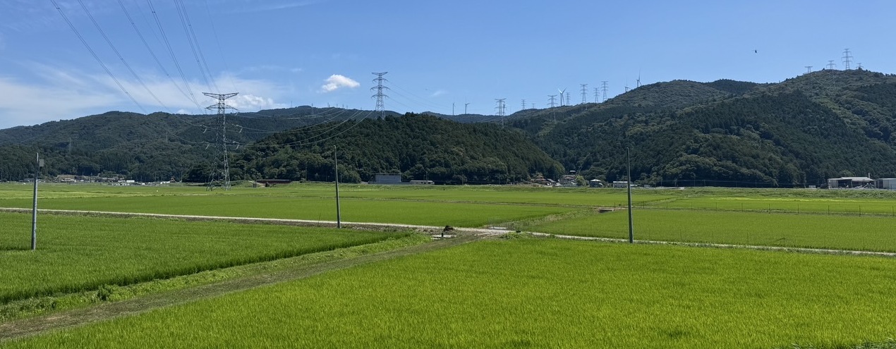 丘陵地がもたらす風通しと排水