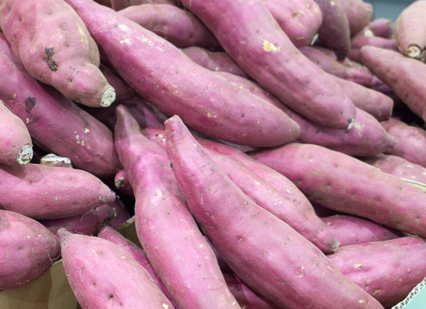 注文希望の確認